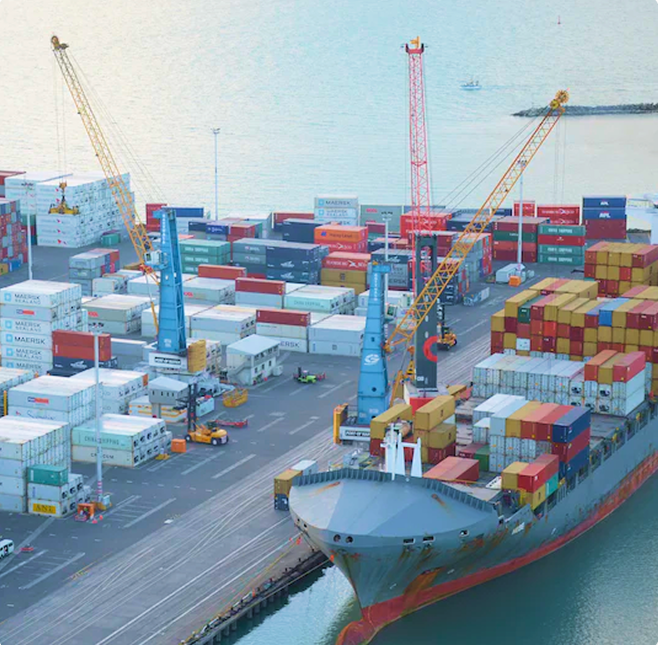 Customs Clearance & Regulatory Processing